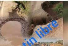 Corridors paralysés du Nord-Est Ces kilomètres de boue qui asphyxient le Bénin