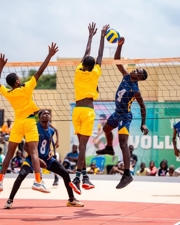 Volley-ball (3)