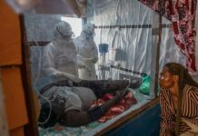 Ebola en RDC Plus de 500 morts, la riposte renforcée avec un premier test d’urgence