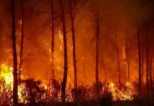 Au-delà des flammes Les fumées d’incendie, un risque sanitaire majeur