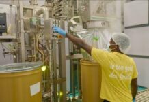 Agro-Industrie : ORANA Démarre officiellement !