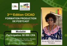 Troisième édition du Camp international des cinémas africains de Ouidah : Des formations pratiques au programme