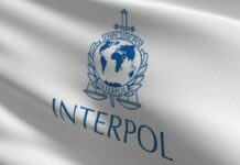 Afrique : Un cybercrime sur deux s’appuie désormais sur l’intelligence artificielle