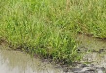 Sô-Ava/Gbègbomey : Près de 5 000 habitants assoiffés, l’eau potable manque cruellement (Trois kilomètres pour trouver de l’eau… et au bout, une eau impropre à la consommation)