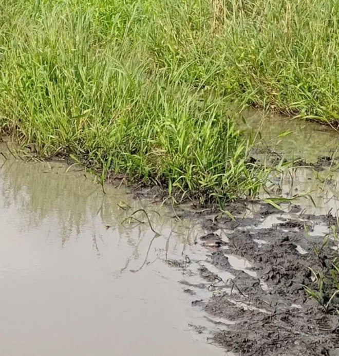 Eau (2)