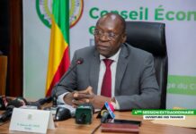 1ʳᵉ session extraordinaire du CES (8ᵉ mandature) : Abdoulaye Bio Tchané lance la machine de la modernisation du CES