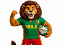 Mara’ Monde, Cameroun 2026 : Tirage au sort effectué, le Bénin logé dans le groupe D