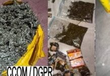 Tramadol et chanvre indien : Un couple interpellé à Porto-Novo