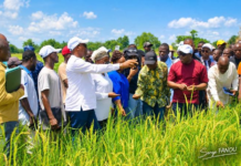 BANIKOARA : Le ministre de l’agriculture, à l’écoute des producteurs