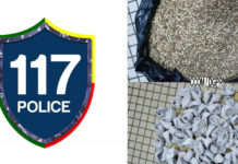 Faits divers : Cinq suspects interpellés à Cotonou et Kpomassè