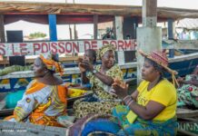 Septennat wadagni : Les attentes autour du premier PAG 2026-2033