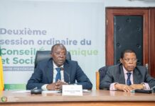 Session ordinaire du Conseil économique et social : Le rapport sur l’état économique et social du Bénin adopté à l’unanimité