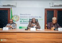 Deuxième session ordinaire du CES : Les conseils départementaux au cœur des travaux