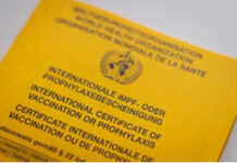 Frontières béninoises et suppression du contrôle du carnet de vaccination : les exigences sanitaires peuvent évoluer