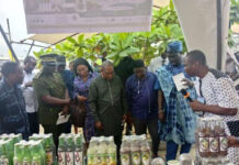 Mois du consommons local/Du 20 au 24 octobre : Les produits fabriqués au Bénin en vente au marché PK3
