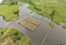Gestion de l’eau : Comment Cotonou est devenu le laboratoire de la résilience climatique africaine