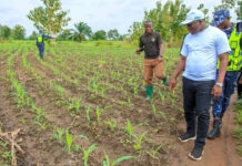 Productivité agricole : Les premiers signaux du terrain sont encourageants