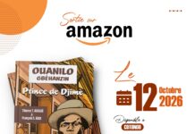 Billet de Tiburce ADAGBÈ : L’HISTOIRE !